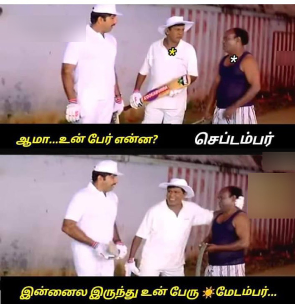 summer sun ooty tea rain