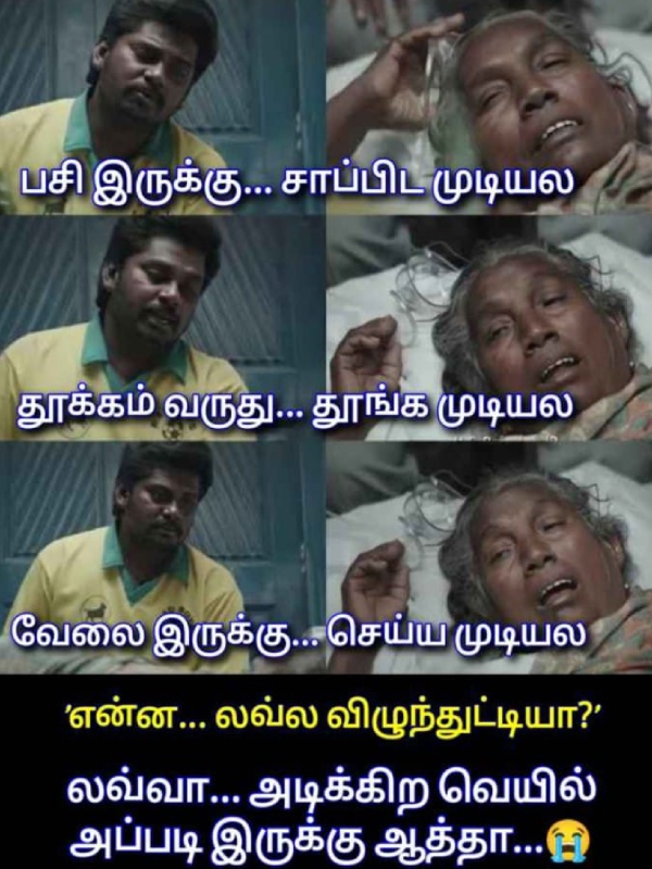 mosquito rain summar memes