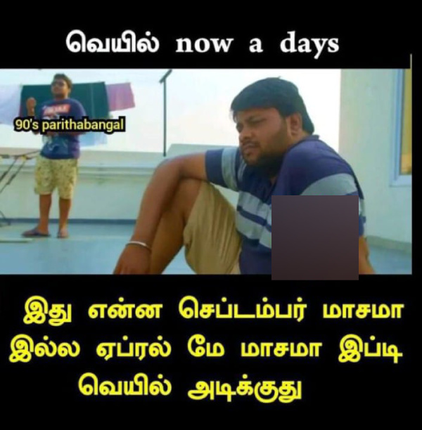 summer sun ooty tea rain