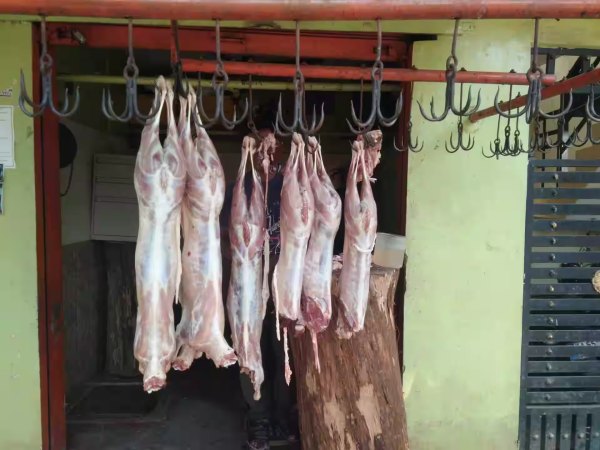 aatu kaal food safety