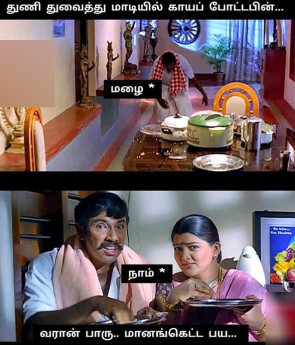 mosquito rain summar memes