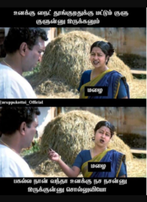 summer sun ooty tea rain