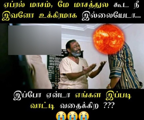 mosquito rain summar memes