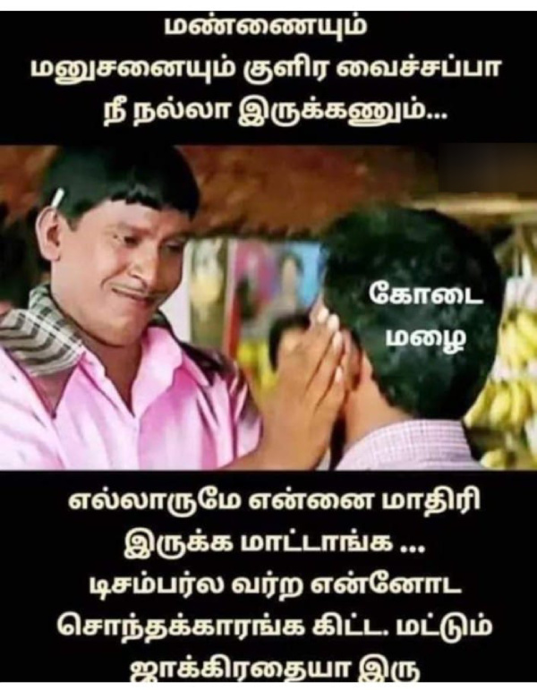 summer sun ooty tea rain