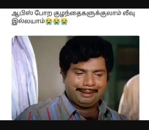 summer sun ooty tea rain