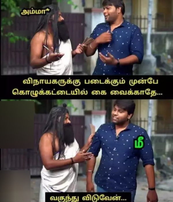 vinayagar chathurthi memes