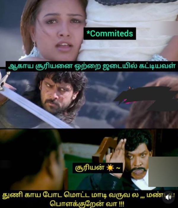 mosquito rain summar memes