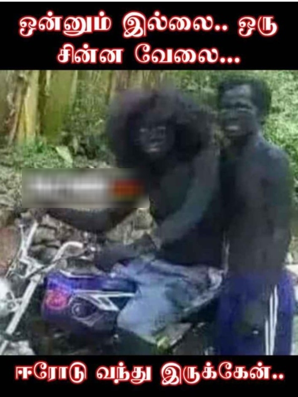 summer sun ooty tea rain