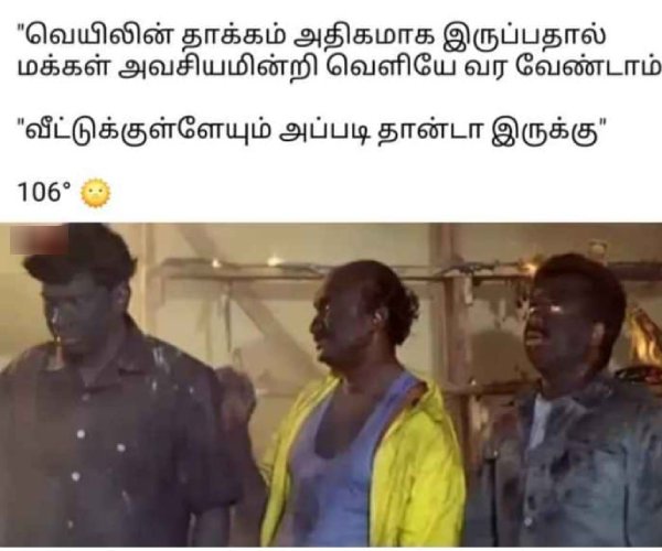 mosquito rain summar memes