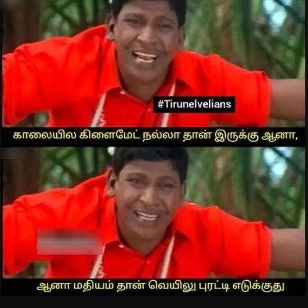 summer sun ooty tea rain