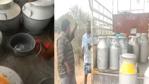 aavin milk madurai milk