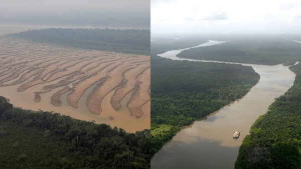 science brazil amazon