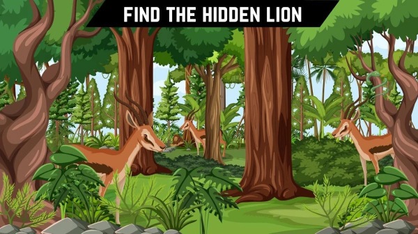 optical illusion offbeat trend