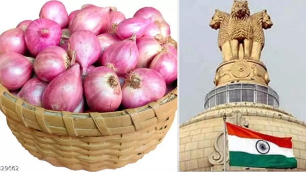 small onion central minister delhi mumbai 35