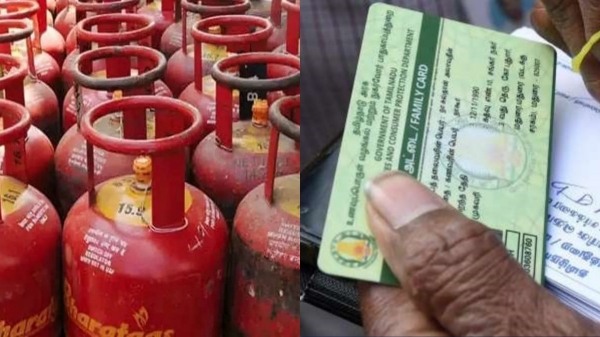 ration card holders tn government new ration card