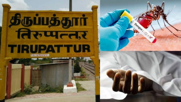 tirupattur dengue fever