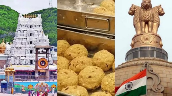 tirupati laddu andhra pradesh tirupati laddu andhra pradesh