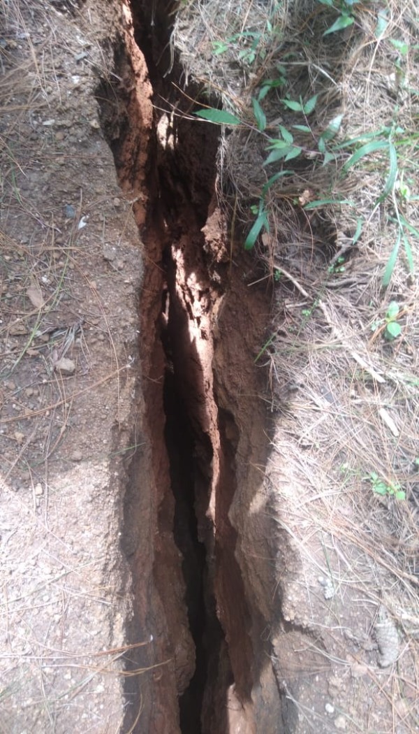 dindigul kodaikanal wayanad