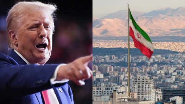 us presidential election 2024 donald trump kamala harris 2024