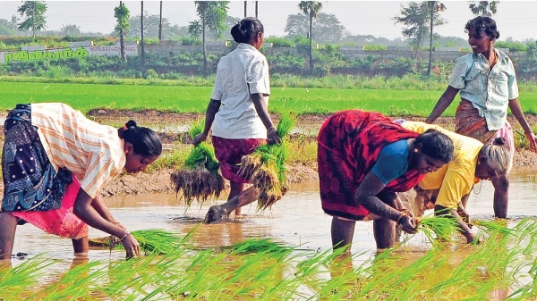 central govt notification aadhaar farmers