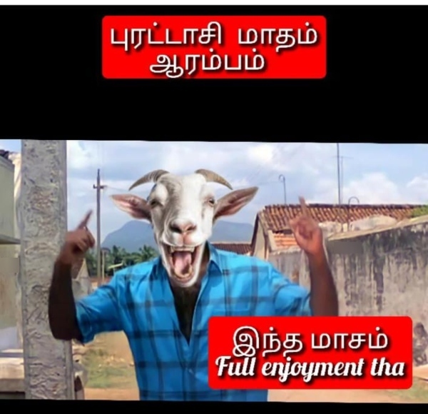 purattasi sunday memes