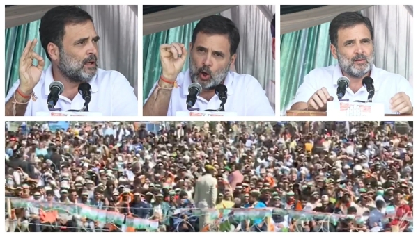 jammu kashmir assembly election 2024 rahul gandhi jammu kashmir assembly election 2024 rahul gandhi
