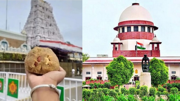 tirupati laddu andhra pradesh jagan mohan reddy tirupati laddu andhra pradesh jagan mohan reddy