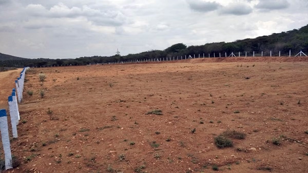 trichy patta land