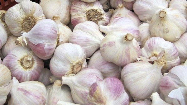 china garlic garlic china garlic garlic