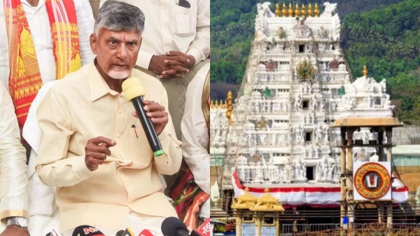 chandrababu naidu tirupati laddu andhra pradesh