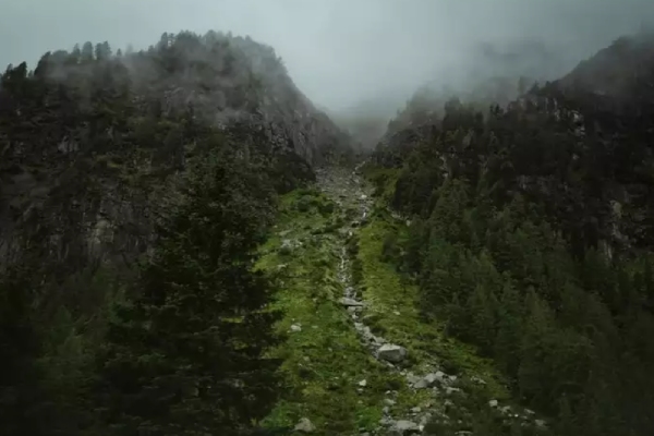 tour travel meghalaya