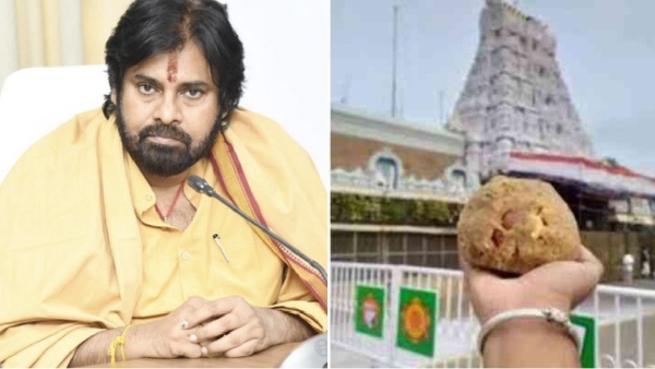 tirupati laddu pawan kalyan tirupati laddu pawan kalyan