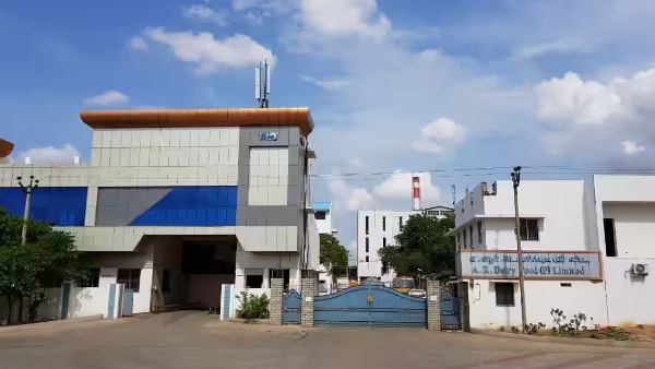 laddu chandrababu naidu laddu chandrababu naidu