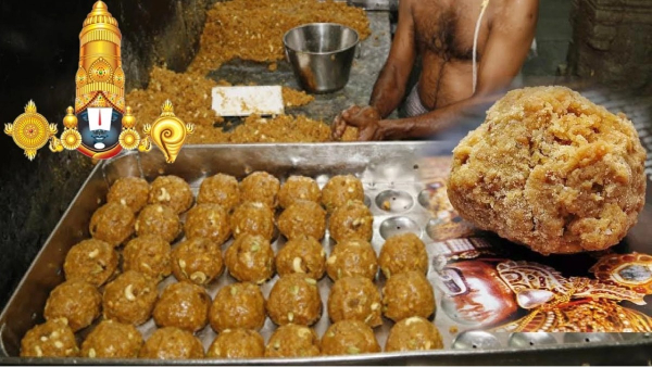 tirupati laddu andhra pradesh tirupati