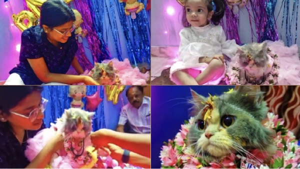 dindigul cat baby shower