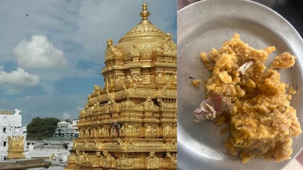 Gutka cover found in tirupati laddu prasadam of a devotee