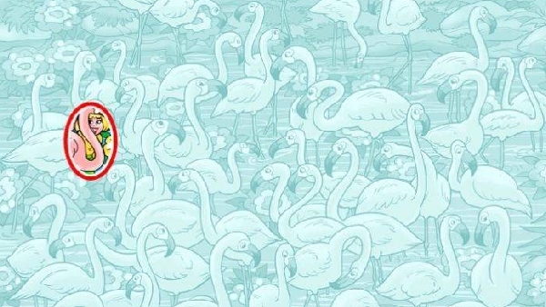 optical illusion offbeat trend