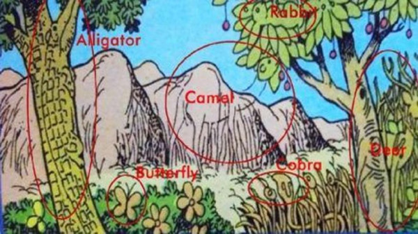 optical illusion offbeat trend