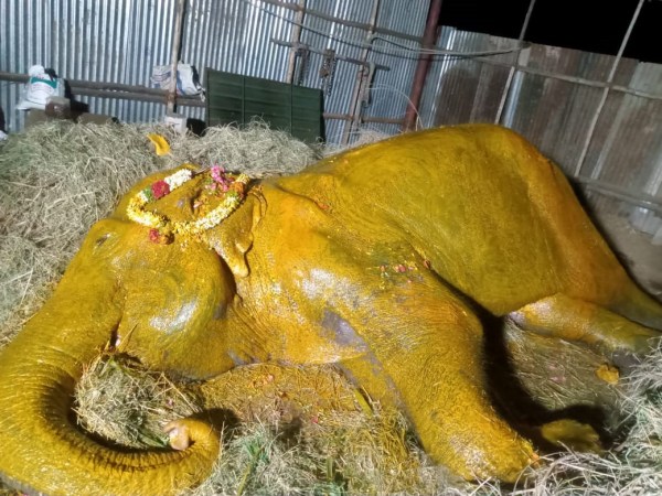 hindu munnani elephant tamilnadu govt