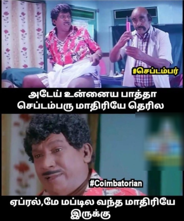 summer sun ooty tea rain