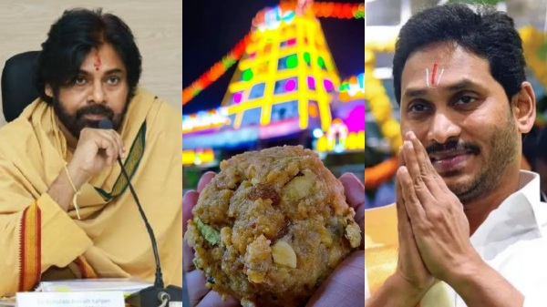 pawan kalyan tirupati laddu andhra pradesh