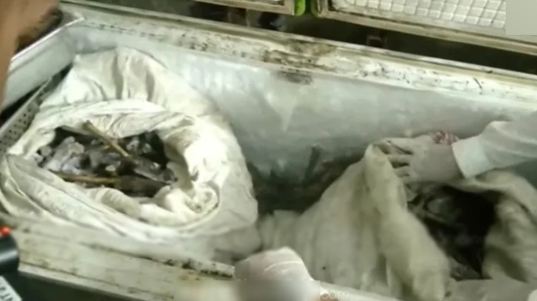 chennai saidapet mutton shop