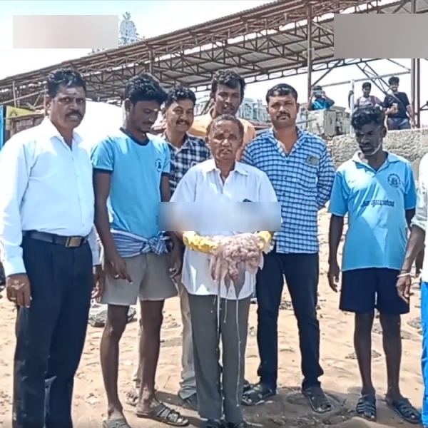 tiruchendur thiruchendur jellyfish