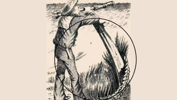 optical illusion offbeat trend