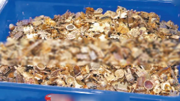 trichy samayapuram mariamman temple gold