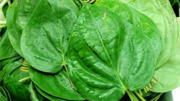 spirituality betel leaf rock salt