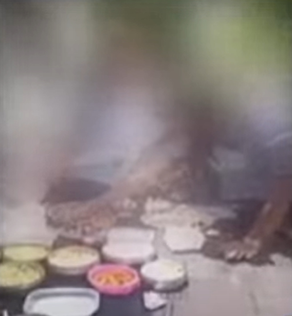 vellore reels school education dept