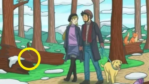 optical illusion offbeat trend