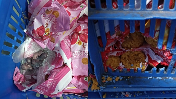 mumbai tirupati laddu andhra pradesh