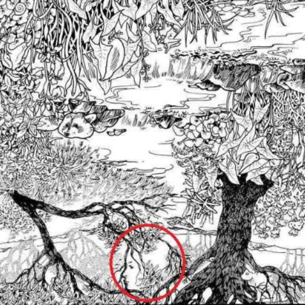 optical illusion offbeat trend